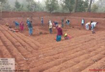 जल संरक्षण से आजीविका तक: छत्तीसगढ़ में ‘आजीविका डबरी’ अभियान बना ग्रामीण बदलाव की धुरी