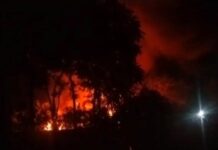 भोपाल के होटल में भीषण आग, 150 से ज्यादा लोगों को सुरक्षित निकाला गया