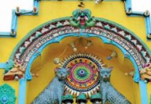 जिस बिल्ली को मानते हैं अपशकुन, उसी को इस कर्नाटक के गांव में देवी मानकर पूजते हैं लोग, जानें रहस्यमयी परंपरा के बारे में