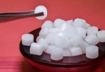 पूजा में कपूर होता है अहम