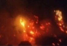 Didwana में भीषण आग, 15 भेड़-बकरियां जिंदा जलीं