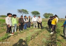 कृषक ग्राम सभाओं में किसानों को दी जा रही है उन्नत खेती की जानकारी