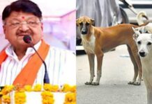 कैलाश विजयवर्गीय का बयान चर्चा में: “सारे कुत्तों से मुझे ही निपटना पड़ता है”, मौत का आंकड़ा शून्य बताया