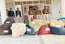 मध्यप्रदेश पुलिस की अवैध मादक पदार्थ के विरुद्ध बड़ी कार्रवाई