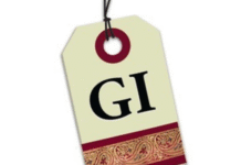 MP के दो पारंपरिक कृषि उत्पादों को GI टैग, बालाघाट के चिन्नौर धान और रीवा के सुंदरजा आम को शामिल किया गया