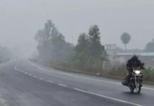 MP Weather Update: एमपी में अगले 2 दिन तेज सर्दी, इसके बाद बढ़ेगा टेम्प्रेचर, कटनी सबसे ठंडा शहर, जानिए आपके शहर का हाल