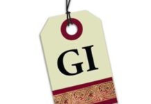 MP के दो पारंपरिक कृषि उत्पादों को GI टैग, बालाघाट के चिन्नौर धान और रीवा के सुंदरजा आम को शामिल किया गया