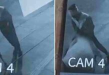 CCTV में रिकॉर्ड हुई आपत्तिजनक हरकत, सड़क पर गाय के साथ अभद्र व्यवहार