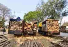 दुर्ग में अवैध काष्ठ परिवहन पर बड़ी कार्रवाई, 4 वाहन जब्त