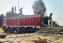 MCB में धान उठाव की रफ्तार तेज, 4.27 लाख क्विंटल का सफल परिवहन