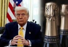 टैरिफ ट्रंप का सबसे बड़ा हथियार: सस्ती दवाओं के लिए फ्रांस पर बनाया दबाव, वाइन पर 100% टैक्स की दी धमकी