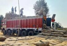 MCB में धान खरीदी का सफल मॉडल, 34% से अधिक उठाव पूरा