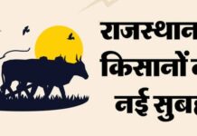 25,000 करोड़ का लोन, 50,000 सोलर पंप; बजट से किसानों को बड़ी राहत