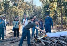 पेंच की मशहूर लंगड़ी बाघिन ने दुनिया को कहा अलविदा, जंगल प्रेमियों में शोक