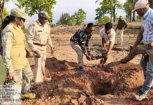 जंगल क्षेत्र में अवैध बोरवेल खनन पर वन विभाग की सख्त कार्यवाही, दो वाहन जब्त