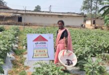 उन्नत खेती से शीला राजवाड़े बनीं लखपति दीदी