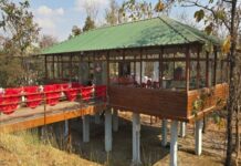 प्रकृति की गोद में रोमांच- मोहरेंगा नेचर सफारी