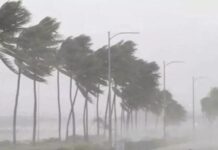 फिर बदला मौसम का मिजाज: 14 से 17 मार्च तक भारी बारिश का अलर्ट