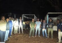 कोटा परिक्षेत्र में रात्रिकालीन गश्त में सागौन के लट्ठा जब्त