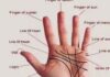 हथेली से जानें व्यक्ति का स्वभाव
