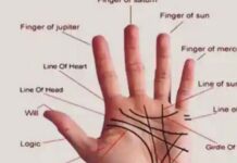 हथेली से जानें व्यक्ति का स्वभाव