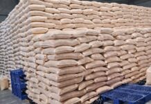 ईरान-इजराइल युद्ध का असर एमपी पर: बंदरगाहों पर बासमती चावल समेत करोड़ों का माल अटका