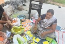 कोरिया के डकईपारा में बने “उजाला” से सजेगी हरित होली