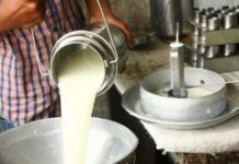 जहरीले दूध से हड़कंप: आंध्र प्रदेश में 16 मौतें, कई की हालत गंभीर