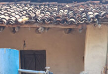 जल जीवन मिशन से बदली फुलमत बाई की जिंदगी, अब नहीं करना पड़ता पानी के लिए संघर्ष