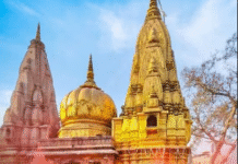 अंतरराष्ट्रीय महिला दिवस पर श्री काशी विश्वनाथ धाम में महिलाओं को मिलेगा खास उपहार! बनारस वालों के लिए विशेष व्यवस्था