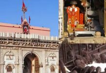 करणी माता मंदिर में घूमते रहते है हजारों चूहे