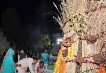 मुख्यमंत्री निवास पर होलिका दहन- मुख्यमंत्री श्री भजनलाल शर्मा ने की प्रदेश में सुख-समृद्धि की कामना