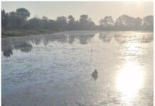 विदिशा के डायल 112 हीरोज : सतर्कता और संवेदनशीलता से बची ज़िंदगी, तालाब में कूदी महिला को सुरक्षित बाहर निकाला