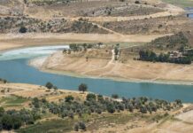 हिजबुल्लाह ने लितानी नदी की ओर बढ़ रहे इजराइली सैनिकों पर किए कई हमले