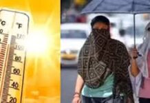 एमपी में दिखे गर्मी के तेवर! धार में पारा 39 डिग्री, 15 मार्च के बाद और बढ़ेगा असर