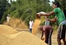 किसान का 84 क्विंटल बकाया धान खरीदने के निर्देश