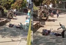 दमोह में खौफनाक वारदात, हथौड़े से सिर कुचलकर युवक की हत्या; नरभक्षी होने का आरोप