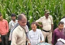 पूर्णिया में ट्यूशन शिक्षक की बेरहमी से हत्या, मक्के के खेत में मिला चाकू से गोदा शव