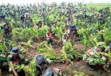 वाराणसी में 3 लाख पौधरोपण, चीन का वर्ल्ड रिकॉर्ड टूटा