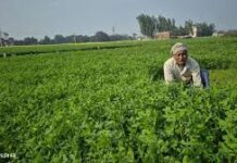 पश्चिम एशिया जंग: अभी नहीं होगी उर्वरक की कमी, लेकिन लंबा खिंचा युद्ध बढ़ा सकता है संकट