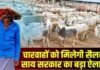 क्या है छत्तीसगढ़ की ‘गौधाम योजना’? चरवाहों और गौ सेवकों को मिलेंगे पैसे
