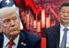 टैरिफ युद्ध से US–China Trade में गिरावट, ग्लोबल हिस्सेदारी 2%