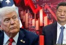 टैरिफ युद्ध से US–China Trade में गिरावट, ग्लोबल हिस्सेदारी 2%