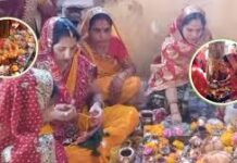 मंदसौर में दशा माता पूजा के दौरान मधुमक्खियों का हमला, 15 महिलाएं घायल