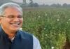 रायगढ़ में अफीम खेती पर भूपेश बघेल का BJP सरकार पर हमला