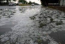 देश के कई हिस्सों में मौसम ने ली अचानक करवट, सीकर में तेज बरसात और ओले