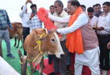 Vishnu Deo Sai ने शुभारंभ किया ‘गौधाम योजना’, CM बोले – ग्रामीण अर्थव्यवस्था मजबूत होगी