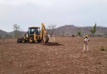 30 बीघा वनभूमि से हटाया अतिक्रमण, कराहजोड़ हुआ मुक्त