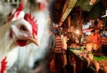 Bhopal में मांस-मछली बिक्री पर सख्ती, नियम तोड़े तो लाइसेंस रद्द