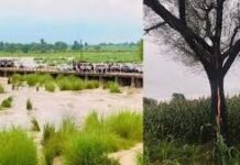 दौसा में बारिश जारी, बिजली गिरने से ट्रांसफार्मर जला